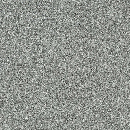 Lucky Penny I in Sky Ridge Carpet