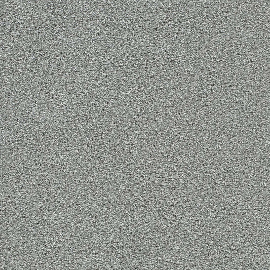 Lucky Penny I in Sky Ridge Carpet