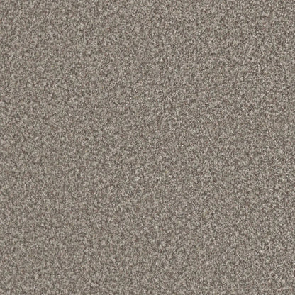 Out Of This World I in Meteor Carpet
