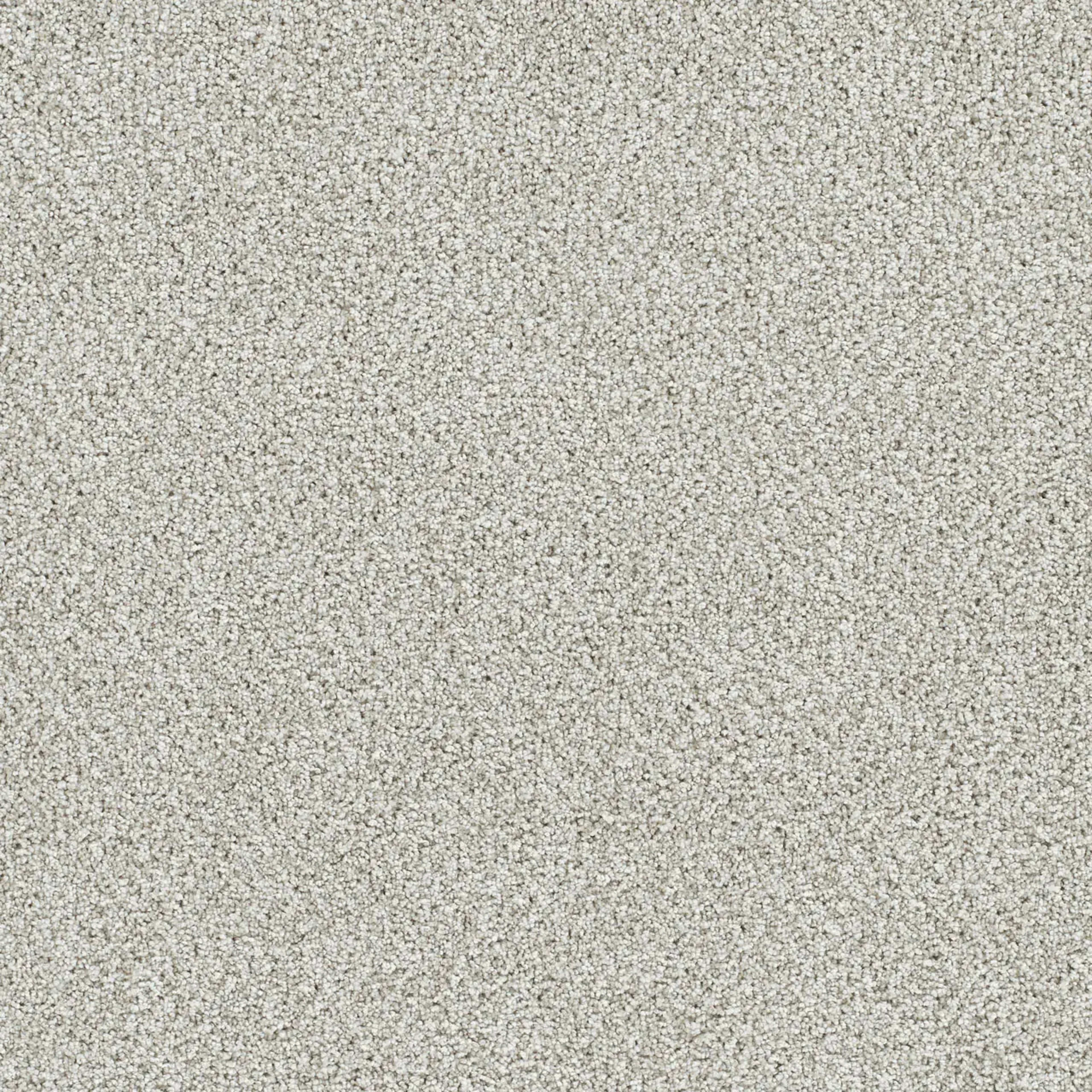 Lucky Penny II in Vera Cruz Carpet