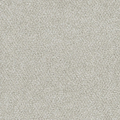 Lucky Penny II in Vera Cruz Carpet