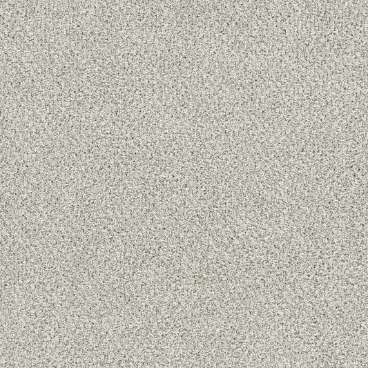 Lucky Penny II in Vera Cruz Carpet