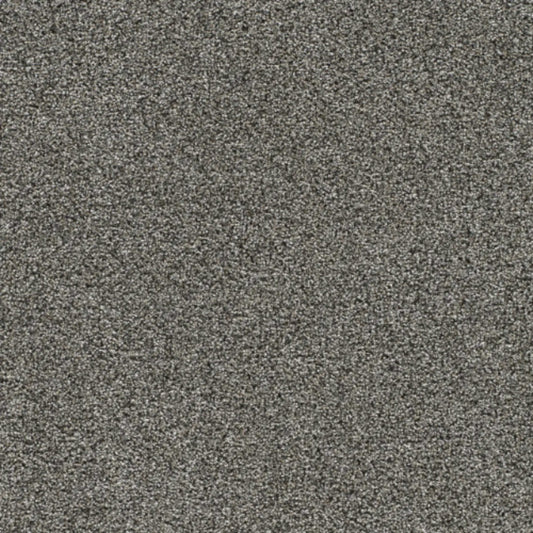 Gold Standard III in Benchmark Carpet