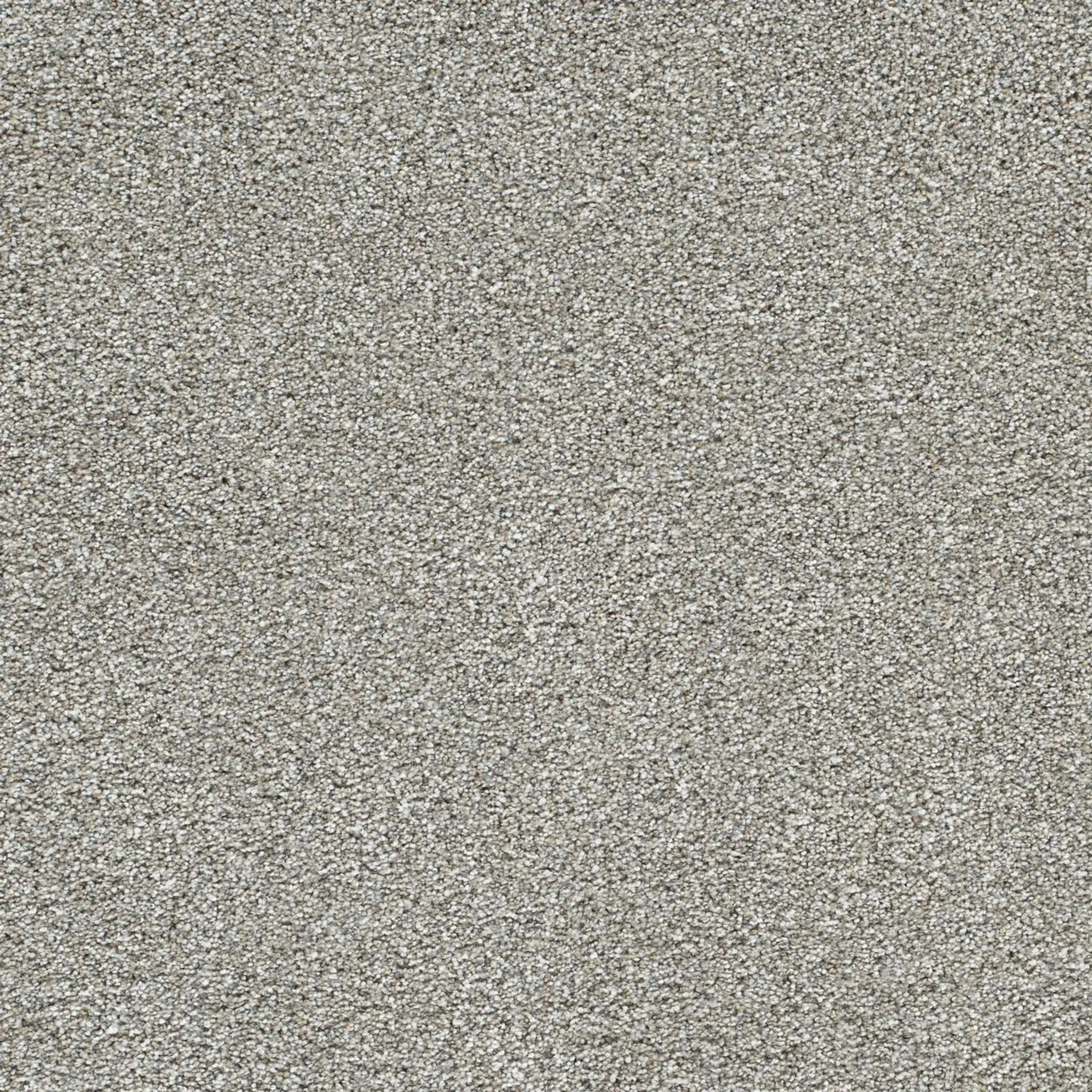 Lucky Penny III in Frost Carpet