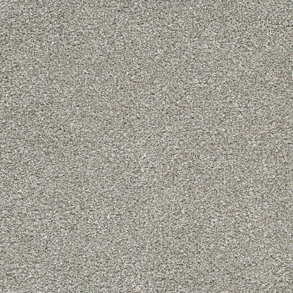 Lucky Penny III in Frost Carpet