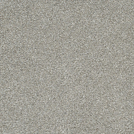 Lucky Penny III in Frost Carpet
