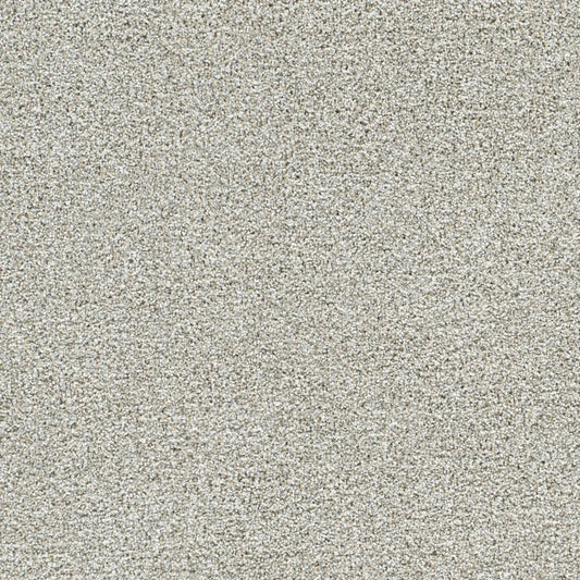 Silver Lining II in Distrail Carpet