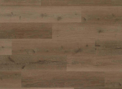 Coffeehouse 2 in Mocha