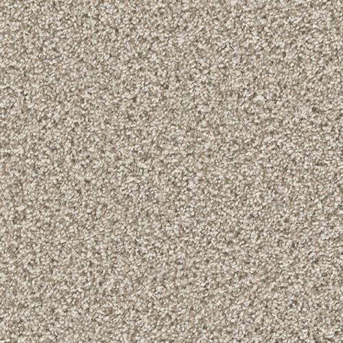 CAN'T MISS in Seashells Carpet
