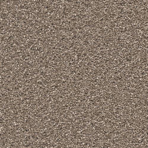 STUNNING in Peppercorn Carpet