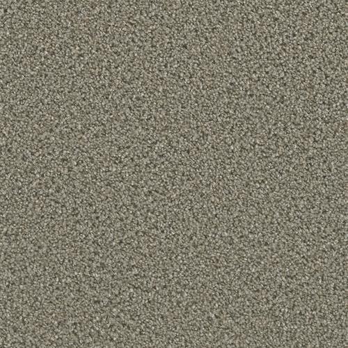Dazzling in Ash Carpet