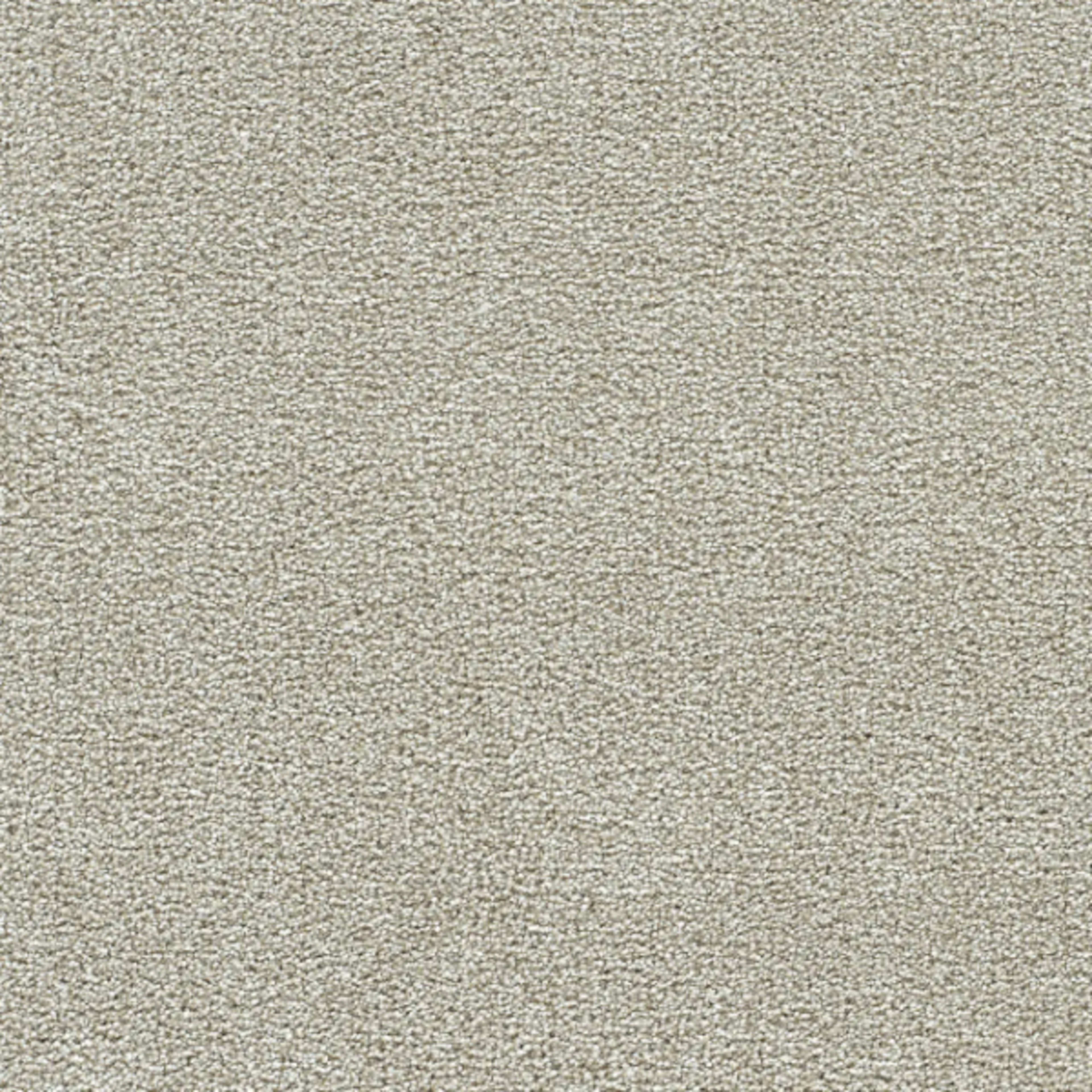 BREAKVIEW II in Anaheim Carpet