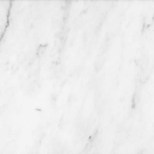Bianco Venatino in Honed 12x24 Natural Stone