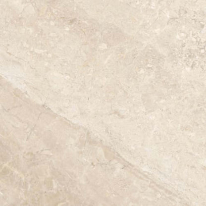 Impero Reale in Honed 12x12 Natural Stone