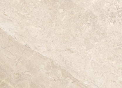 Impero Reale in Honed 12x12