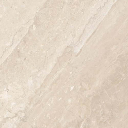 Impero Reale in Polished 12x24 Natural Stone