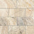 Picasso in Filled & Honed 3x6 Natural Stone