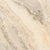 Picasso in Filled & Honed 12x24 Natural Stone