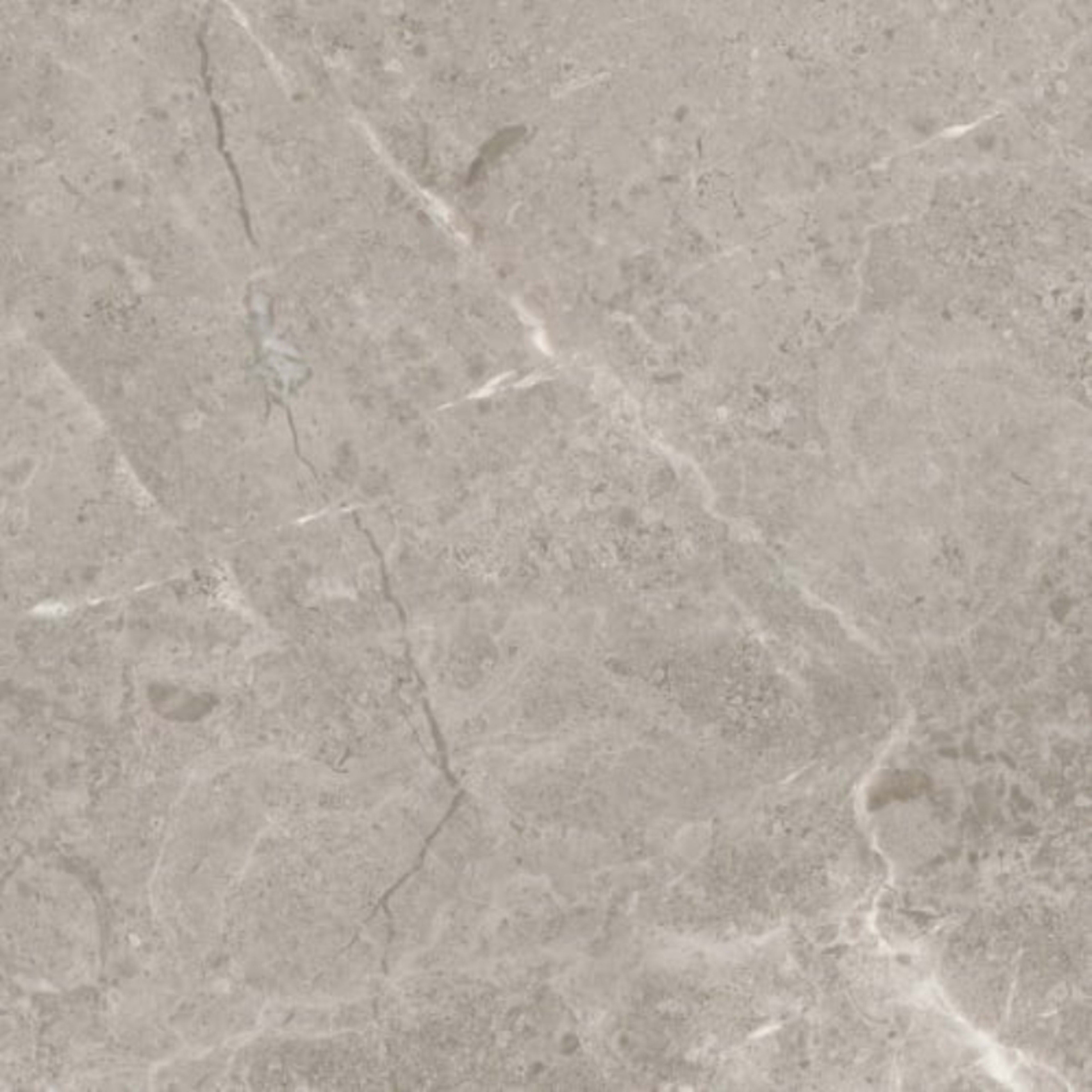 Ritz Gray in Polished 12x24 Natural Stone