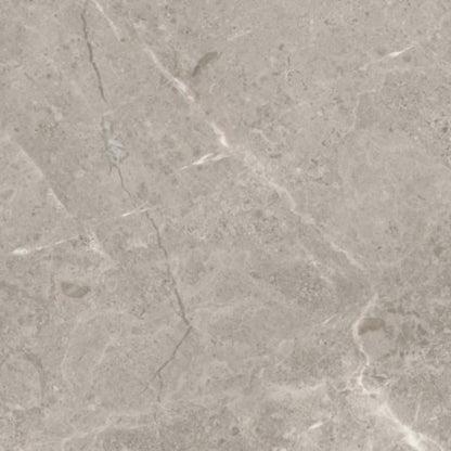 Ritz Gray in Polished 12x24 Natural Stone