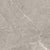 Ritz Gray in Polished 12x24 Natural Stone