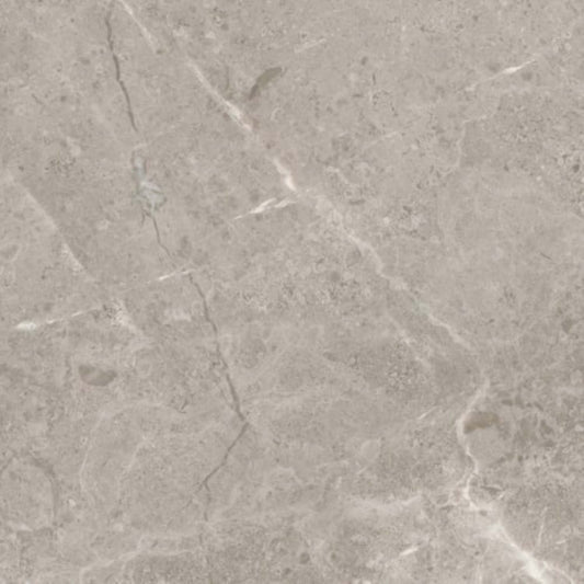 Ritz Gray in Polished 12x24 Natural Stone