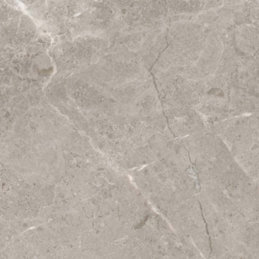 Ritz Gray in Honed 12x24 Natural Stone
