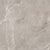 Ritz Gray in Polished 18x36 Natural Stone
