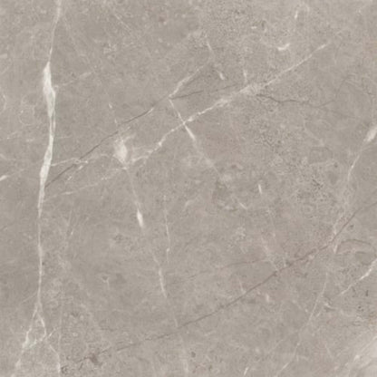 Ritz Gray in Polished 24x24 Natural Stone