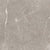 Ritz Gray in Polished 24x24 Natural Stone