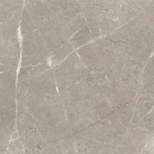 Ritz Gray in Polished 24x24 Natural Stone