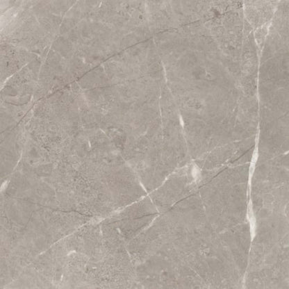 Ritz Gray in Honed 24x24 Natural Stone