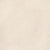 Serene Ivory in Honed 12x12 Natural Stone