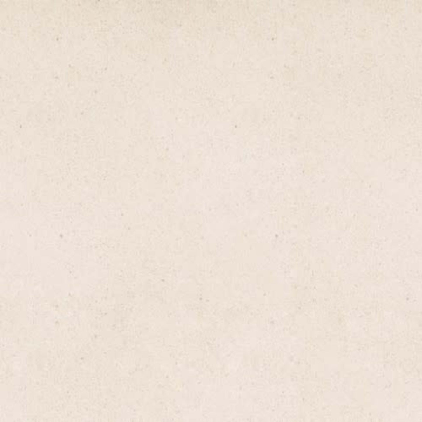 Serene Ivory in Polished 12x24 Natural Stone