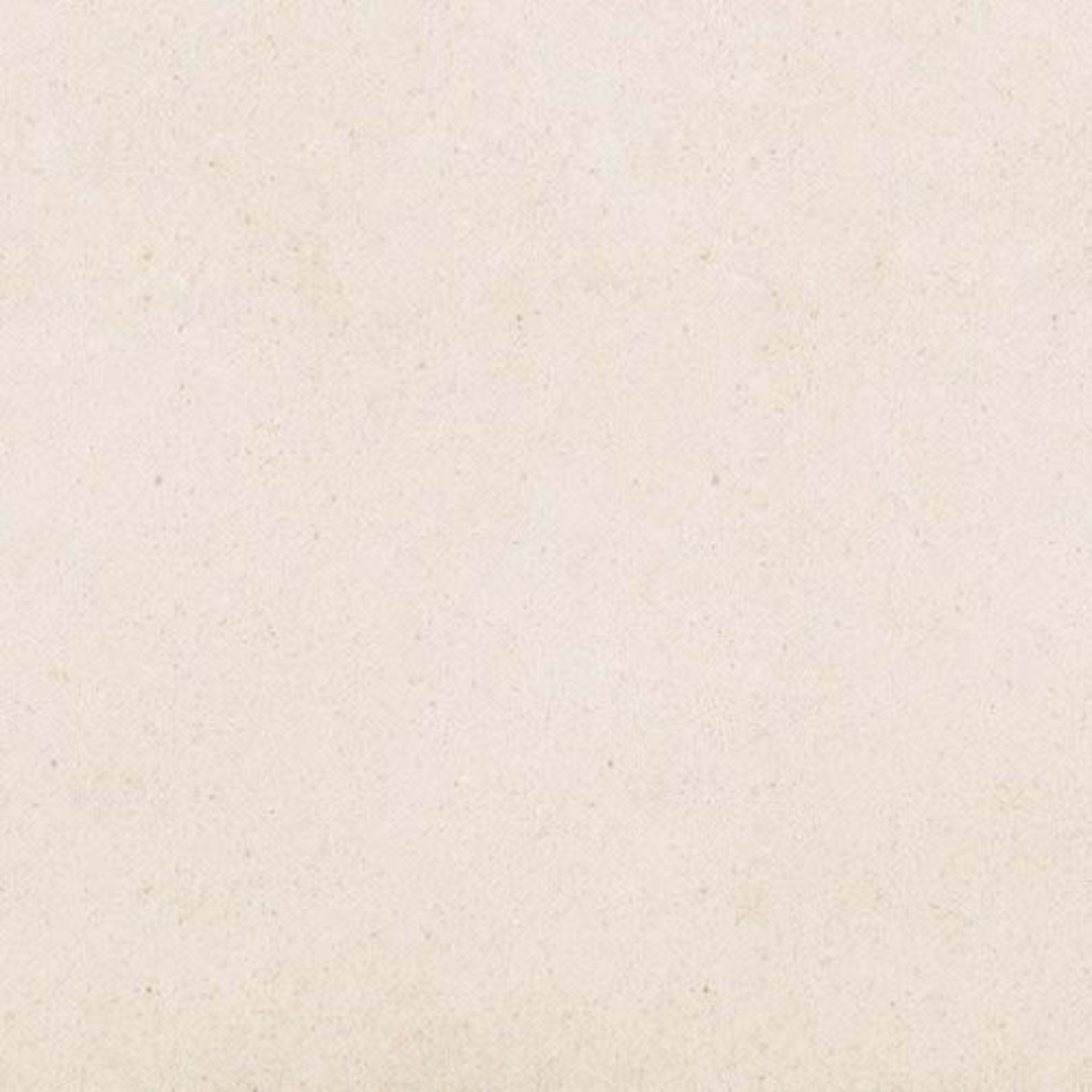 Serene Ivory in Honed 12x24 Natural Stone