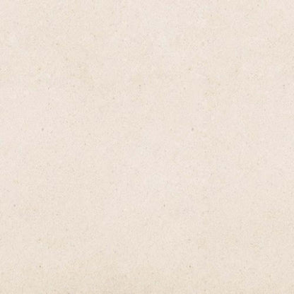 Serene Ivory in Honed 12x24 Natural Stone