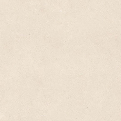 Serene Ivory in Honed 18x36 Natural Stone