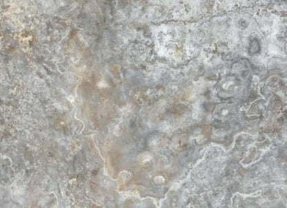 Silver Ash in Chiseled & Brushed 16x24