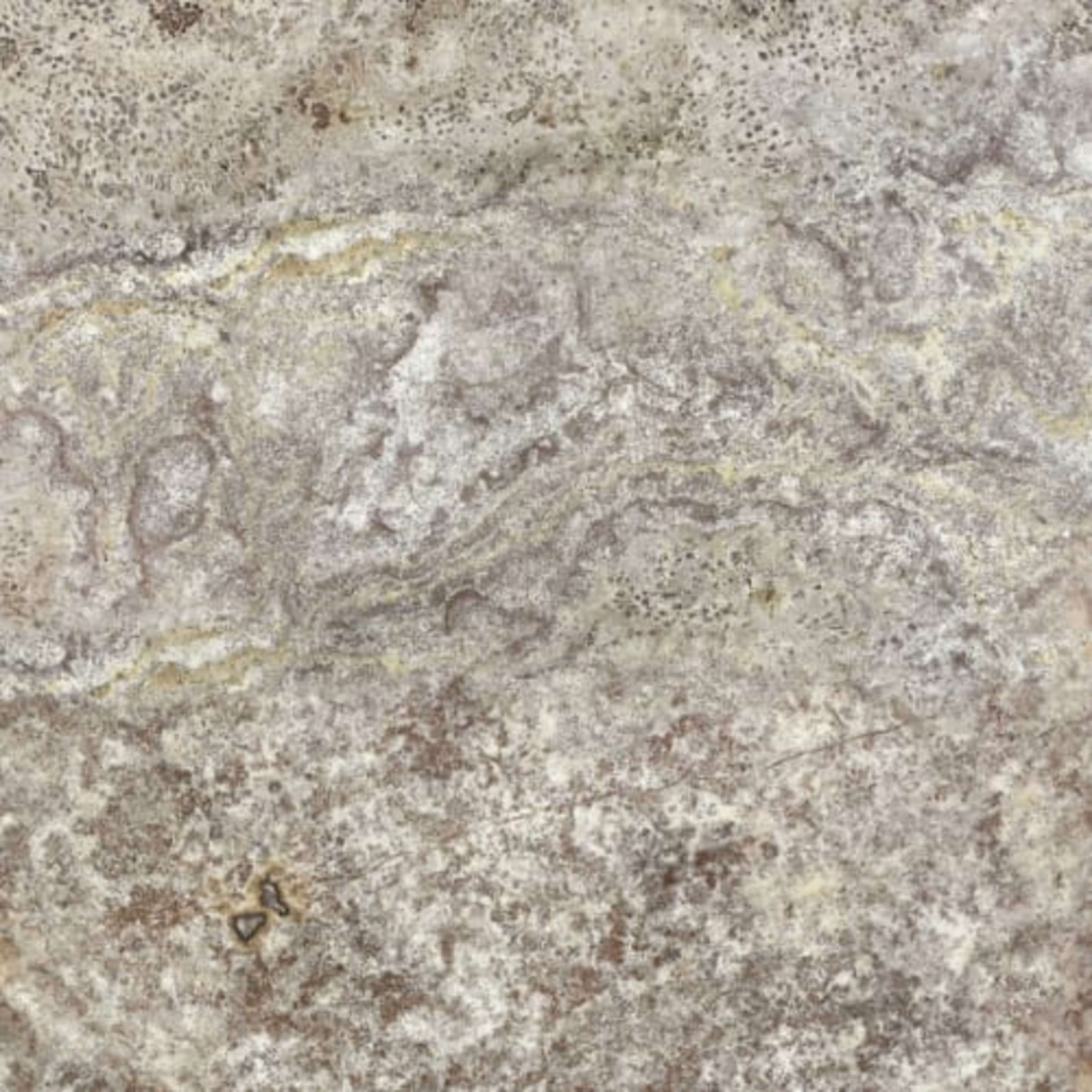Silver Ash in Filled & Honed Crosscut 18x18 Natural Stone
