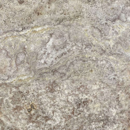 Silver Ash in Filled & Honed Crosscut 18x18 Natural Stone