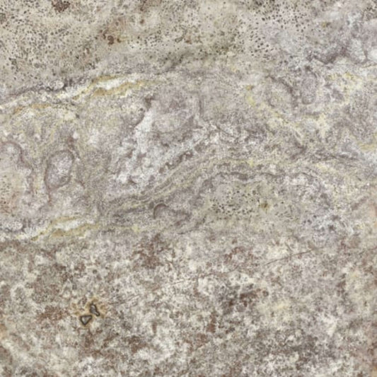 Silver Ash in Filled & Honed Crosscut 18x18 Natural Stone