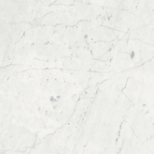 Eterna Bianco in Honed 18x36 Natural Stone