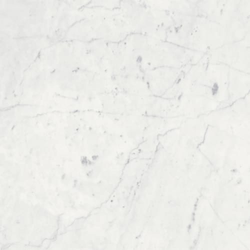 Eterna Bianco in Polished 18x36