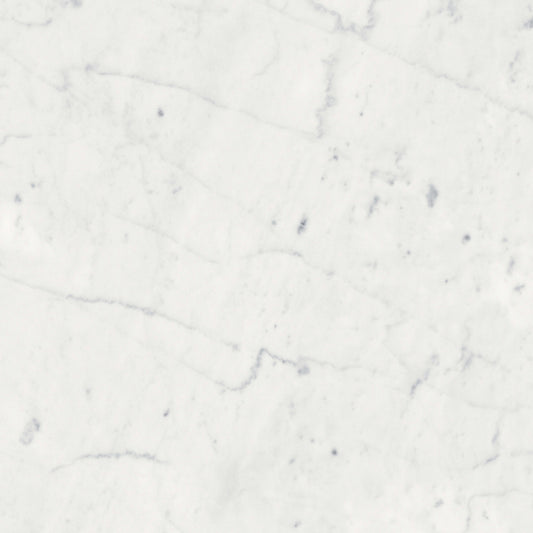 Eterna Bianco in Honed 12x24 Natural Stone