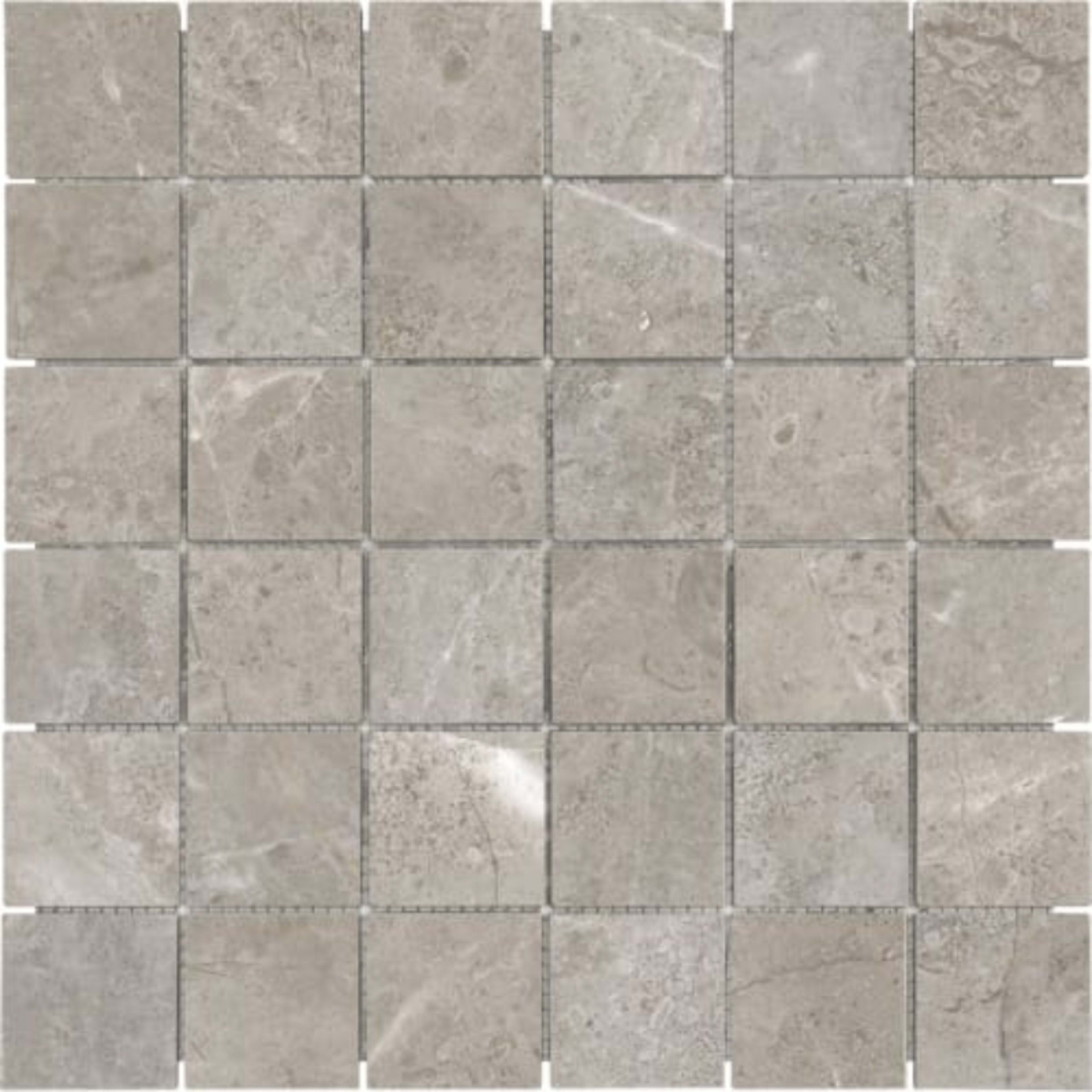 Ritz Gray in 2x2 In Polished Natural Stone