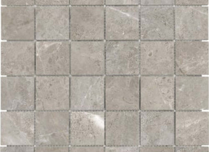 Ritz Gray in 2x2 In Polished