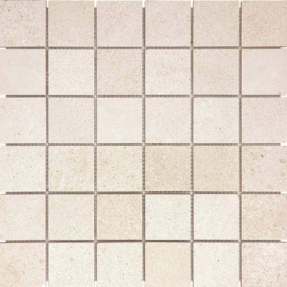 Serene Ivory in 2x2 In Honed Natural Stone