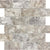 Silver Ash in 2x4 In Honed Crosscut Natural Stone