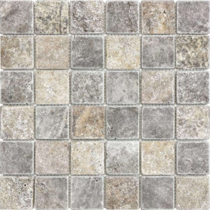 Silver Ash in 2x2 In Tumbled Natural Stone