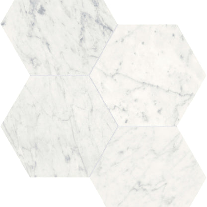 Eterna Bianco in Hexagon Mosaic 6in Honed Natural Stone